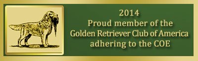 Fern Hill Golden Retrievers is a member of the Golden Retriever Club of America