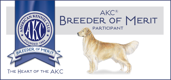 Akc breeder 2024 of heart