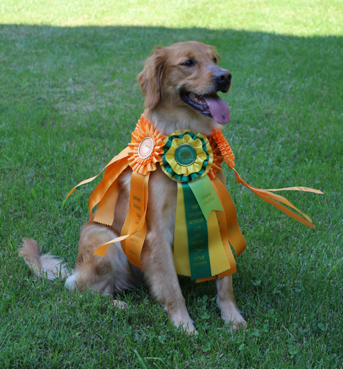 Py with her SH ribbons