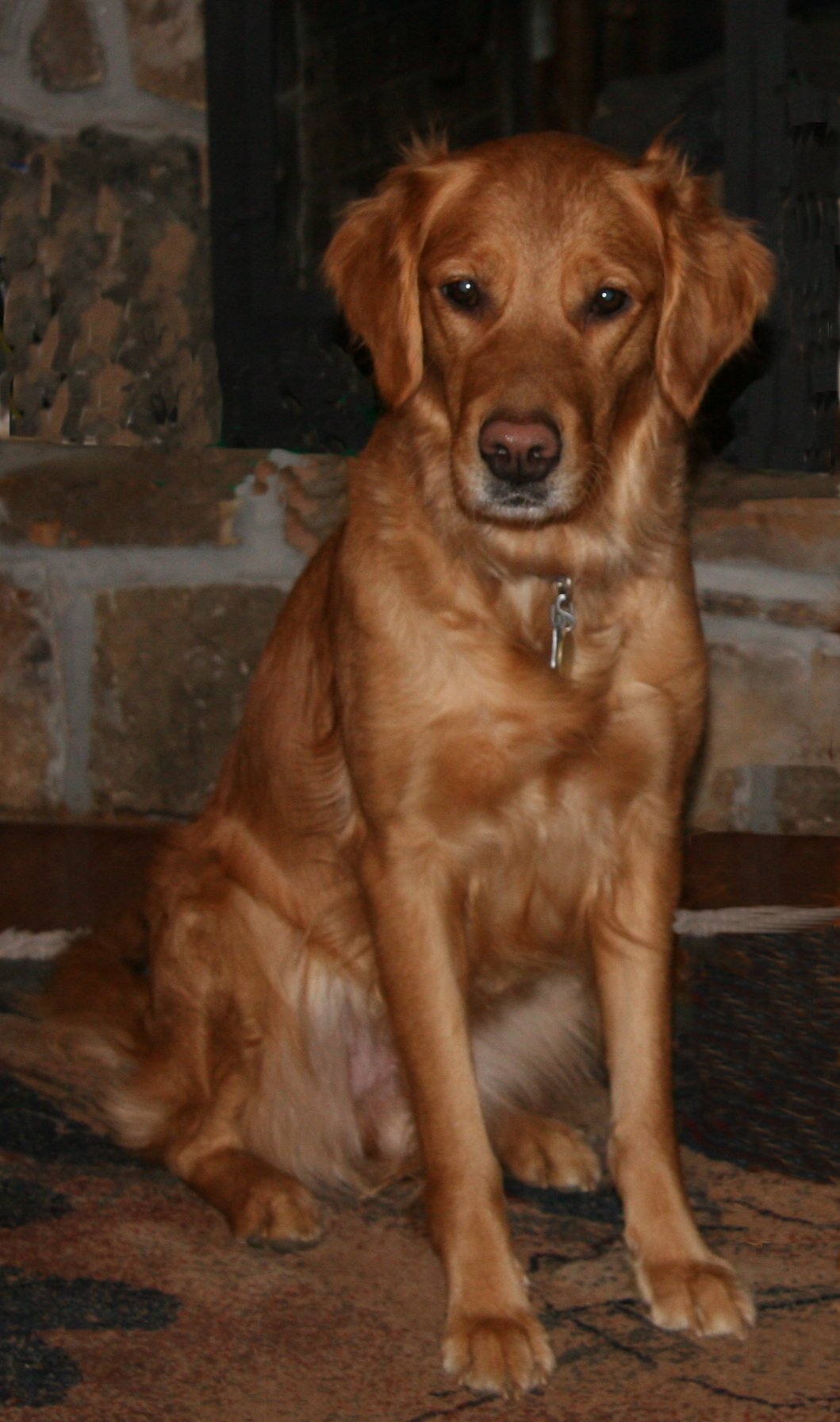 Penny sitting by fireplace