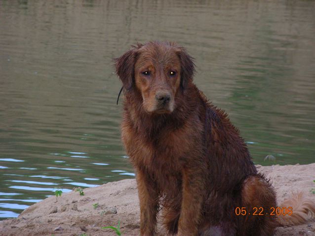 Wet and happy