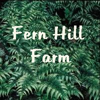 Return to Fern Hill home page