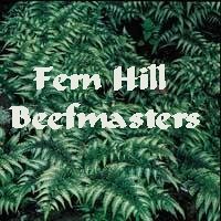Return to Fern Hill Beefmasters