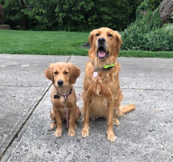 Finley and Lucy together, May 30, 2020