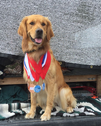 Jake, 2nd Place in Big Air Dock Diving Championship