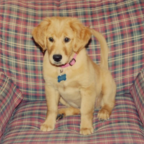 Lis at home in Oklahoma City