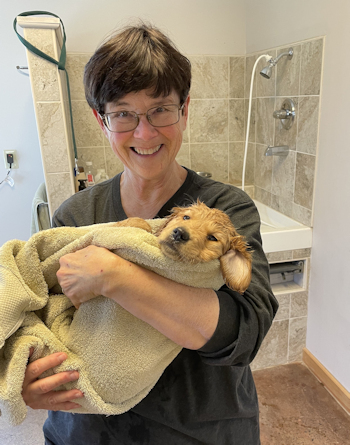 puppy getting bath at 7 weeks
