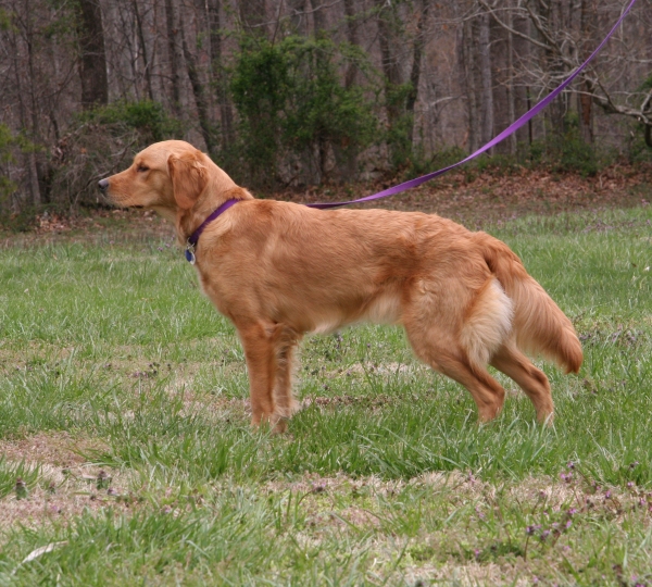 Penny outside