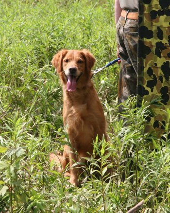 Penny at the blind