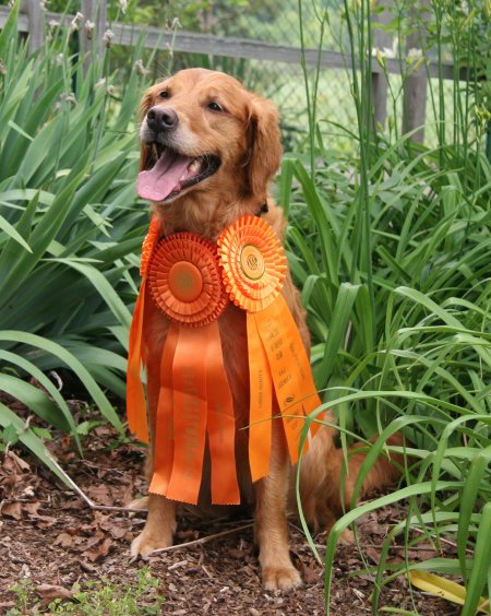 Penny with her ribbons