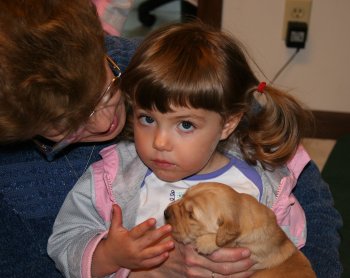 puppy with little girl
