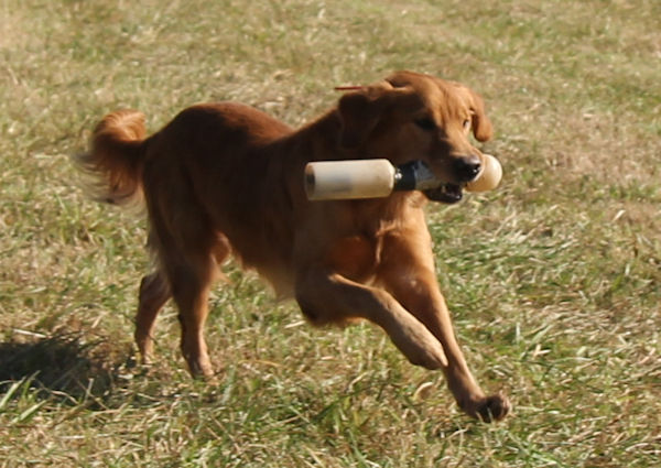 Willie at 2 years old