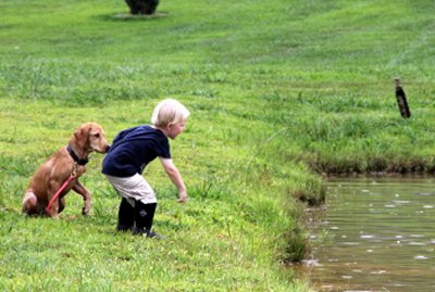 Shimmer doing a land retrieve